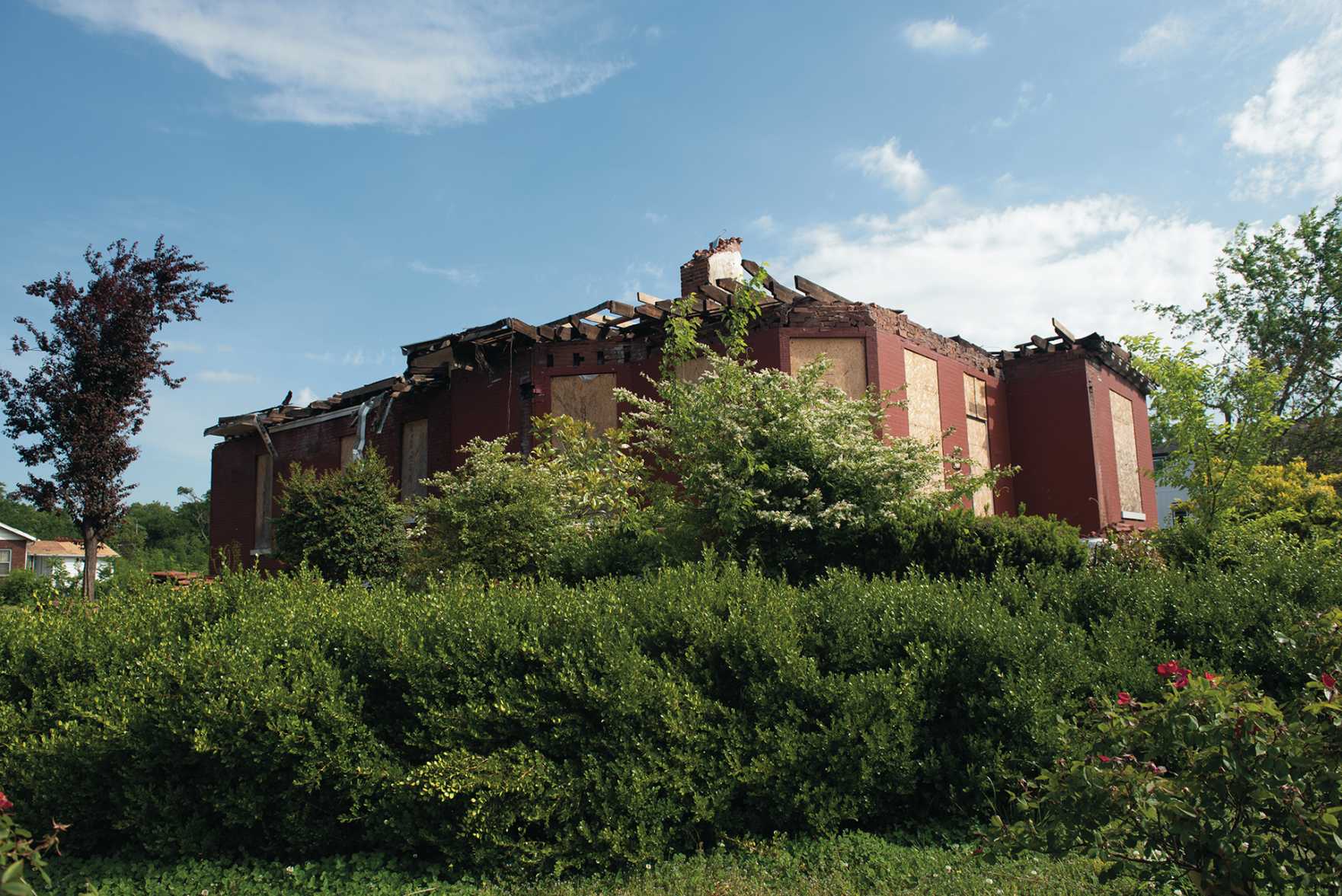Walk a Mile: Hope Gardens and Buena Vista